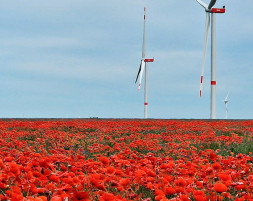 ENGIE Deutschland Pressemitteilungen: Windpark Querdingen