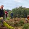 ENGIE Deutschland Pressemitteilungen - Bergwaldprojekt