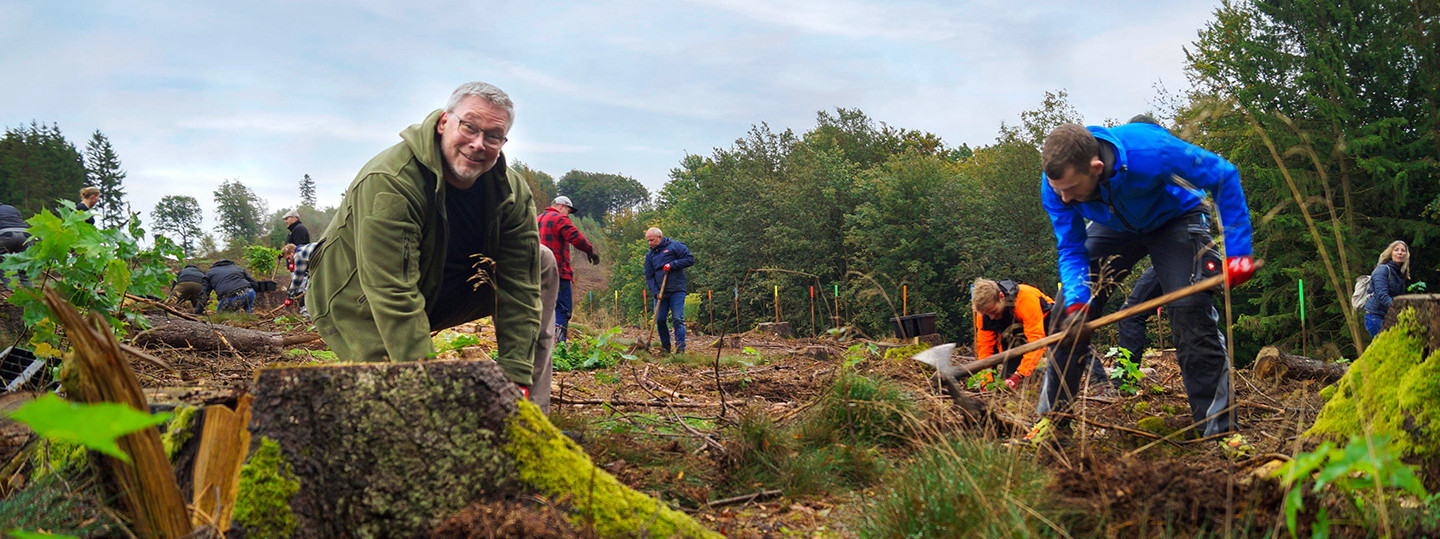 ENGIE Deutschland Pressemitteilungen: ENGIE Deutschland unterstützt Bergwaldprojekt e. V. 