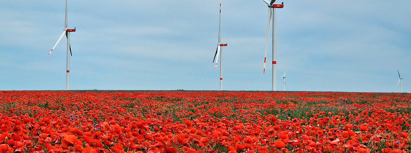 ENGIE Deutschland Pressemitteilungen: Windpark Querdingen
