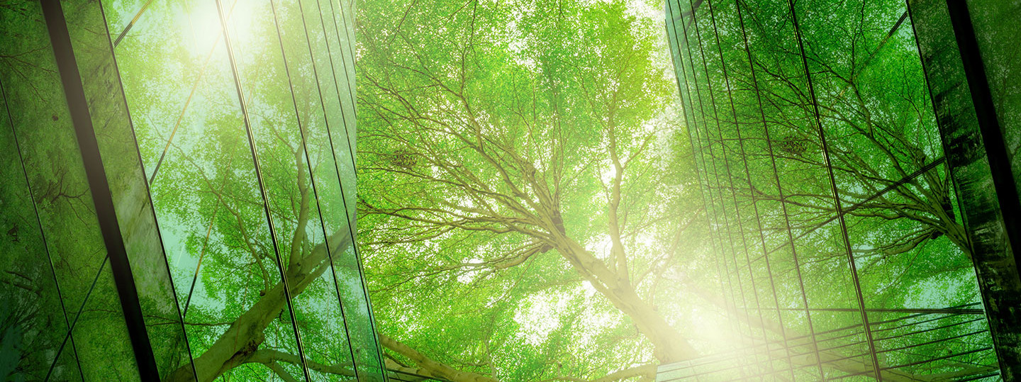 ENGIE Deutschland Zero Carbon-Magazin: ENGIE fordert schnellere Dekarbonisierungsmaßnahmen, Bäume, Fenster, Wald